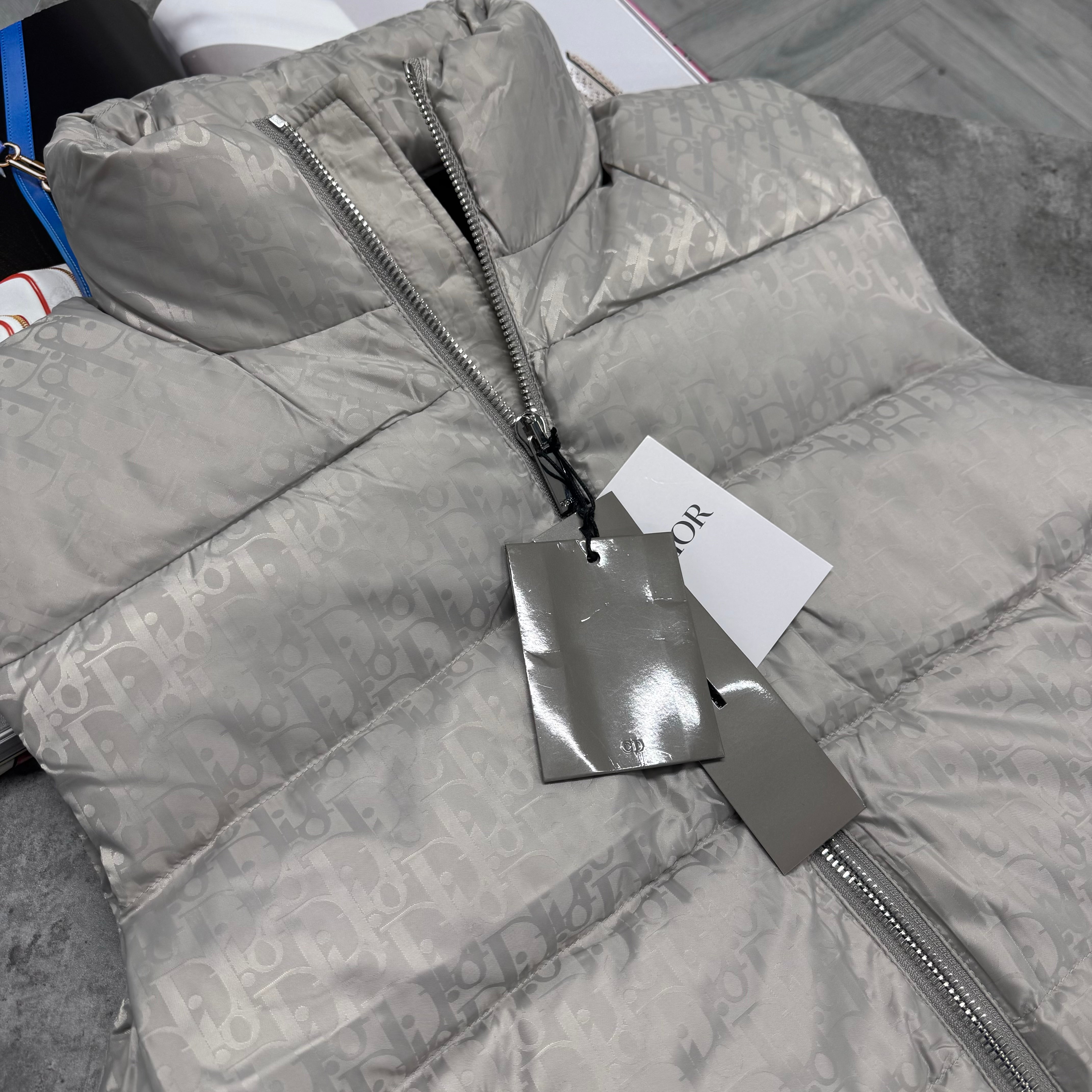 CD OBLIQUE GILET - SILVER